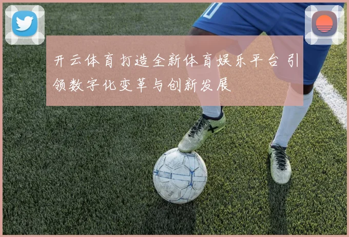 开云体育打造全新体育娱乐平台 引领数字化变革与创新发展