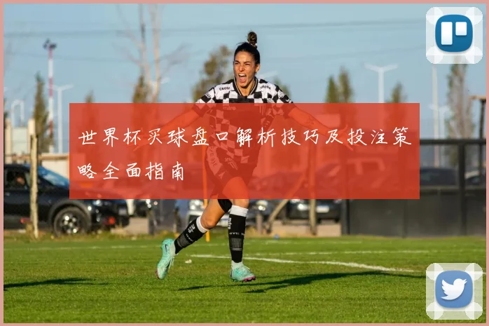 世界杯买球盘口解析技巧及投注策略全面指南