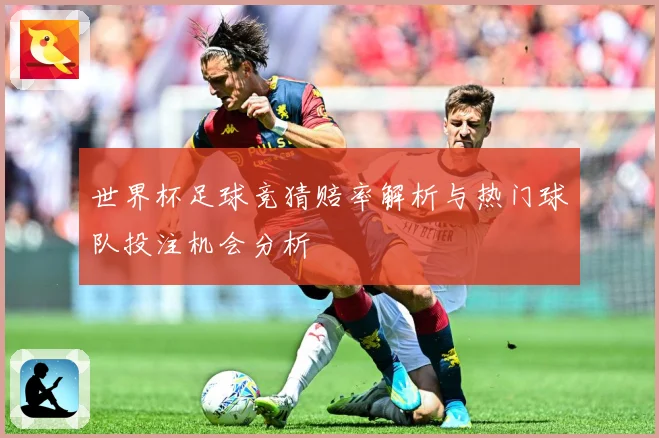 世界杯足球竞猜赔率解析与热门球队投注机会分析