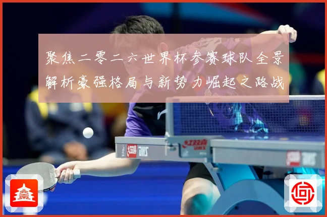 聚焦二零二六世界杯参赛球队全景解析豪强格局与新势力崛起之路战术观察