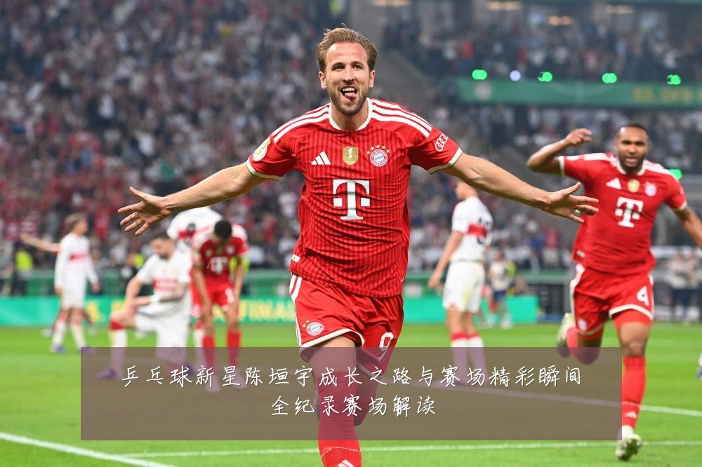 乒乓球新星陈垣宇成长之路与赛场精彩瞬间全纪录赛场解读