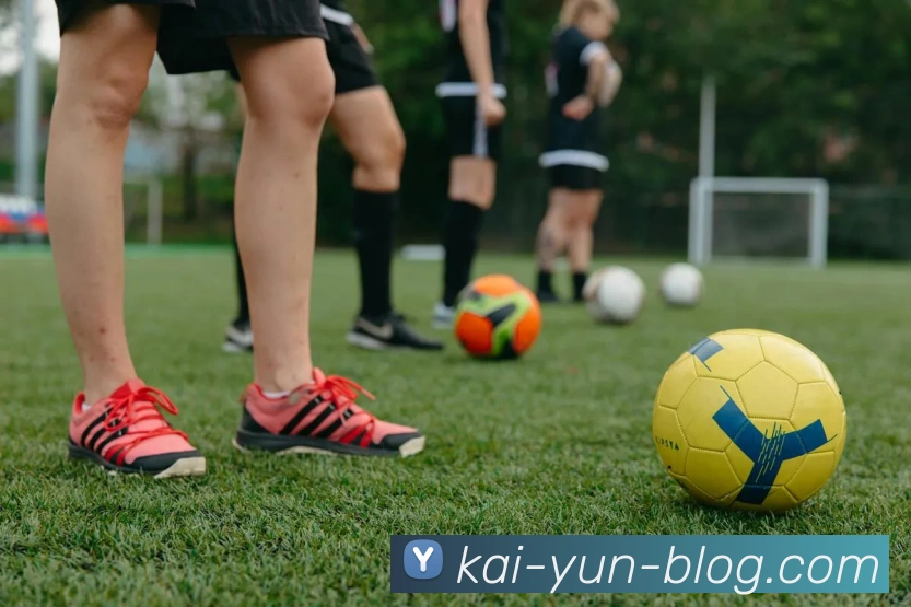 开云平台展示图